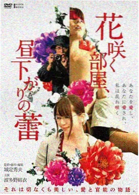 雾港档案 movie电影在线观看实测封面